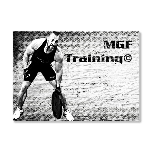 Buch MGF-Training Phase 1 – Bild 19