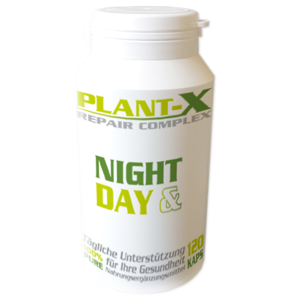 Read more about the article NIGHT & DAY Repair Complex