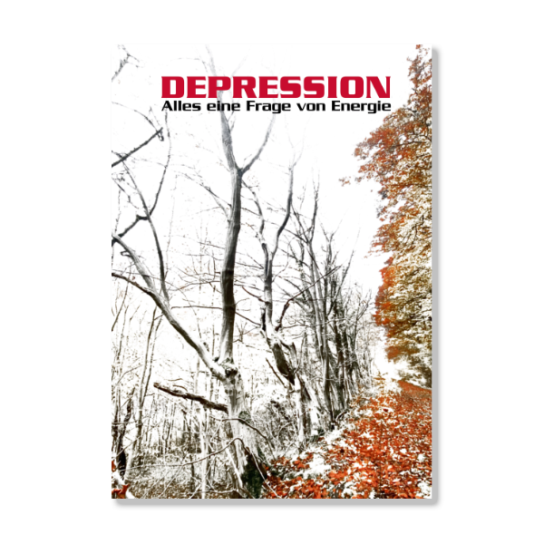 Buch Depression